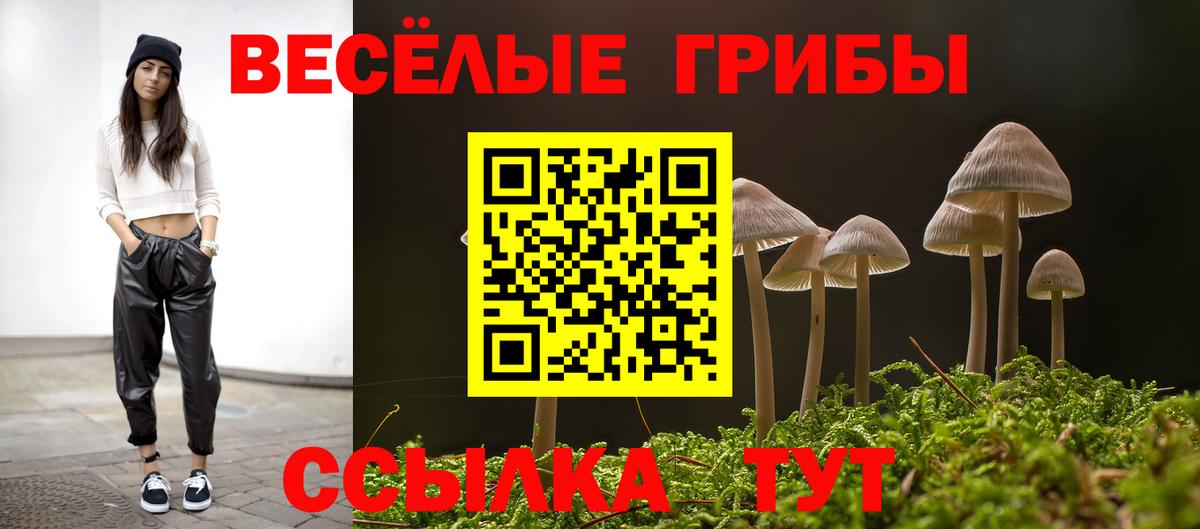 Махачкала  где купить наркоту  Вход с VPN  Псилоцибиновые грибы Psilocybine cubensis 
