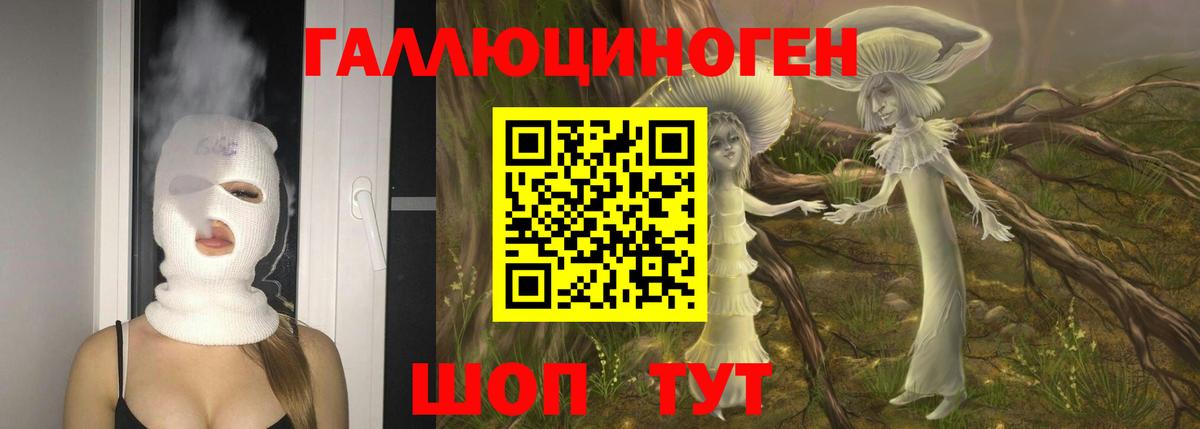 Псилоцибиновые грибы прущие грибы Махачкала
